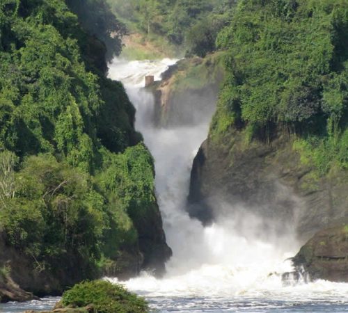 4 Days Murchison Falls National Park Safari