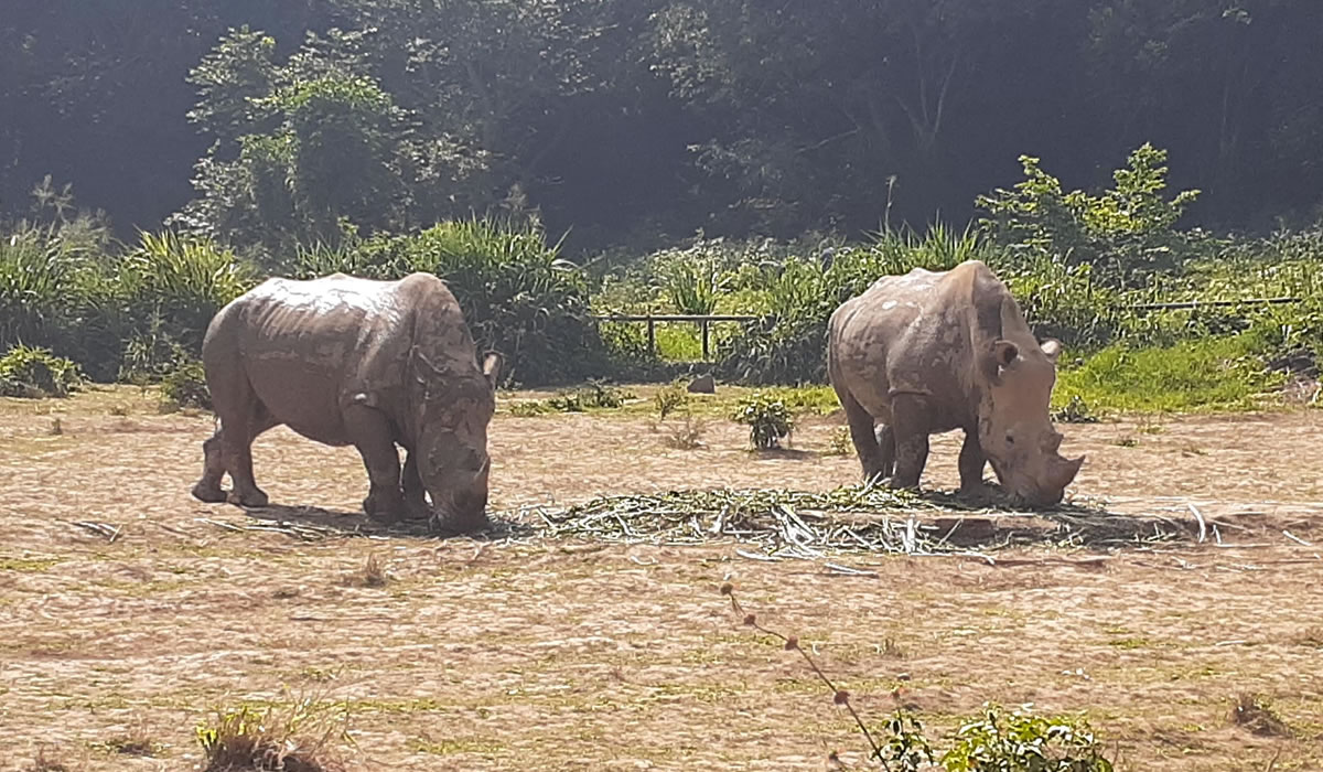 Uganda Wildlife Education Centre